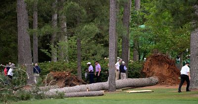 Masters TREE falls at Augusta National with patrons and players in lucky escape as weather worsens