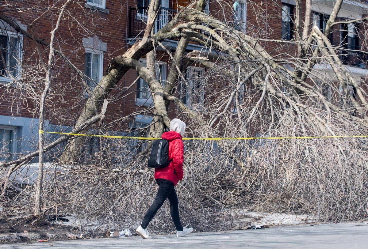Hundreds Of Thousands Still In Dark From Ice Storm In hundreds-of-thousands-still-in-dark-from-ice-storm-in
