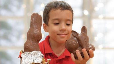 Chocolate bunnies vs bilbies: Who will you back this Easter?