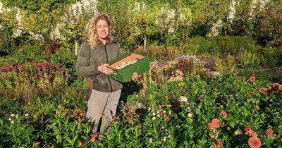 Growers providing South Bristol with beautiful baskets of food not in supermarkets