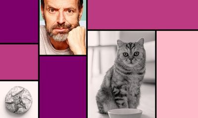 Tim Dowling: the cat is a liar and a coward, and it’s got me by the toe