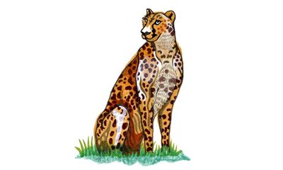 How many spots does a cheetah have and how is ear wax made? Try our kids’ quiz