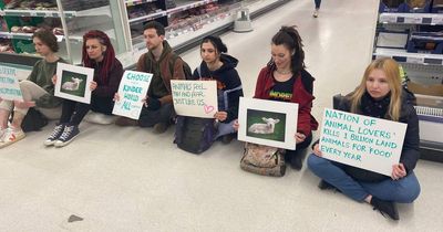 'Last ever' Animal Rebellion action sees supermarket aisles blocked in Bristol