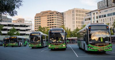 Driver shortages to force bus service cuts on Saturday night in Canberra