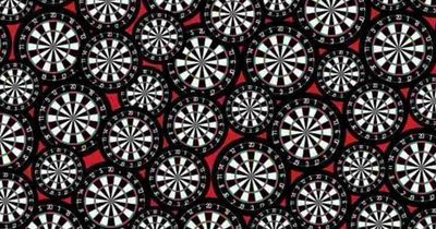 Only people with a high IQ can find the 3 red darts among the dartboards in 15 seconds