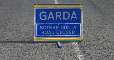 Young woman pronounced dead at scene of early-morning collision in Meath