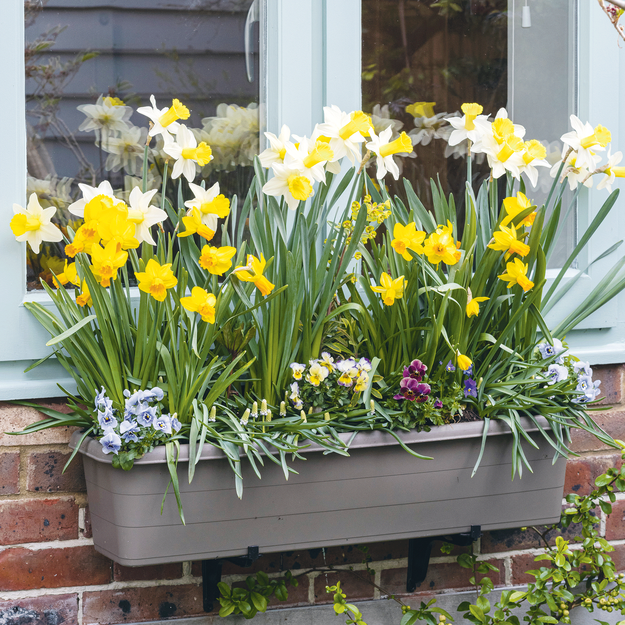 Experts warn against these 10 easily avoided window box mistakes