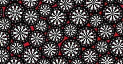 Those with 'genius IQ' can solve dartboard optical illusion in 15 seconds