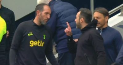Roberto De Zerbi and Cristian Stellini in angry touchline clash BEFORE Tottenham vs Brighton