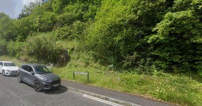 Human remains found in woodland behind houses in Mumbles