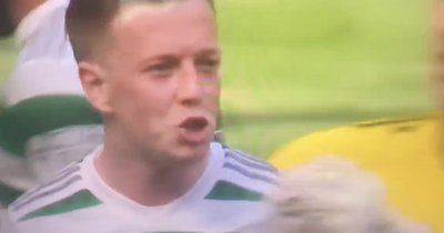 Callum McGregor gets Celtic lip readers out in force with 'X rated' Nicolas Raskin putdown