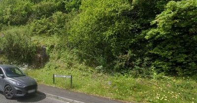 Police investigate as human remains found in woodland in Wales