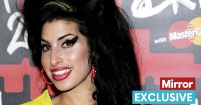 Amy Winehouse biopic stars 'don't look like singer and husband Blake Fielder-Civil'
