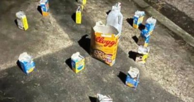 Mum 'scared to leave kids' after 'cereal' offender leaves breakfast boxes outside home