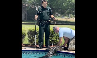 Deputy in spotlight after hilarious reaction to alligator encounter