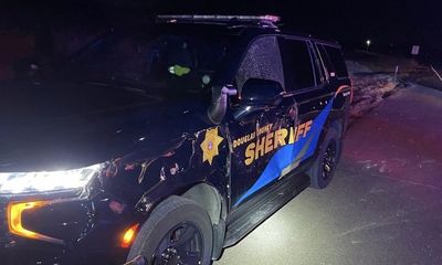 Elk smashes into deputy’s patrol car on Colorado highway