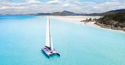 What a tourist flying from Newcastle to Whitsundays can enjoy