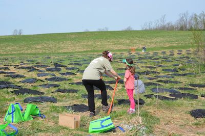 Lexington prepares to ‘Reforest the Bluegrass’ again