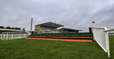 Irish Grand National meeting Day Two full race card and tips - list of runners at Fairyhouse on Sunday