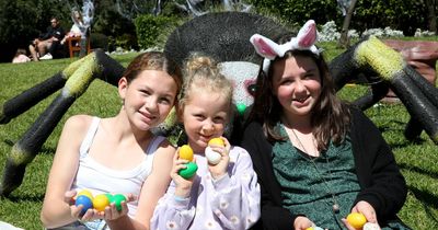 An 'egg-cellent' sight: families turn out to search for chocolate treats