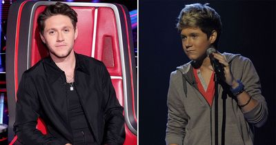 Niall Horan's rise from teen talent show contestant to superstar Voice USA judge