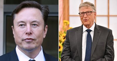 Billionaire AI wars as Elon Musk says STOP but Bill Gates urges 'age of bots'