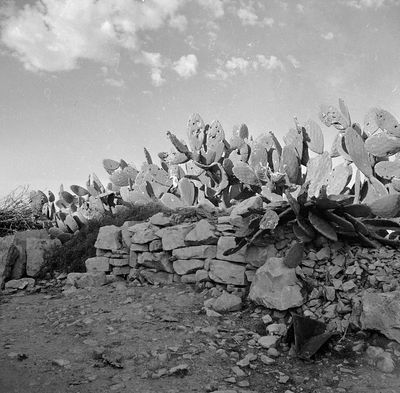 The Deir Yassin massacre: Why it still matters 75 years later