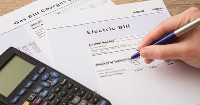 Octopus on how energy bill changes will impact households from this month