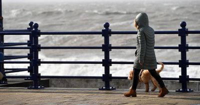 Met Office issue yellow weather warning as storm expected to hit UK