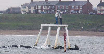 Life inside 'underrated' Northumberland town named one of the UK's cheapest seaside resorts