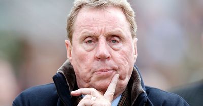 I'm A Celeb winner Harry Redknapp urges fans to help save bumblebees with simple move