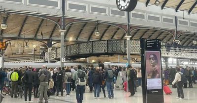 Man dies on major Edinburgh railway line after being struck by train