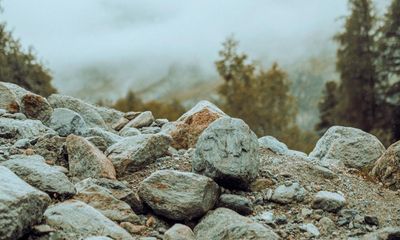 Readers reply: could rocks be conscious? Why are some things conscious and some not?