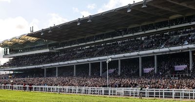 Man suffers life-changing injuries in attack at the Cheltenham Festival