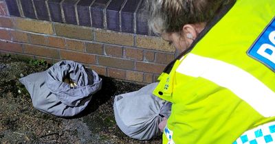 Litter picker thought she found bags of sand on street - but they were actually snakes