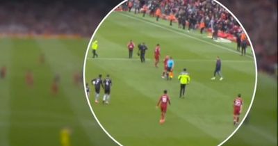Sky Sports capture linesman Constantine Hatzidakis appearing to elbow Liverpool's Andy Robertson at half-time