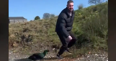 Hilarious moment Scots dad chased around loch by crazed duck as TikTok clip goes viral