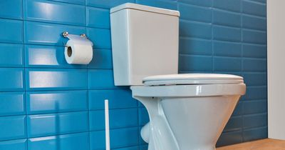 'A leaky loo means you could flush water worth hundreds of pounds down the pan'