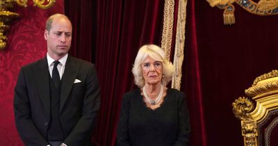 Queen Camilla's crown jewels controversy could upset cause close to William's heart