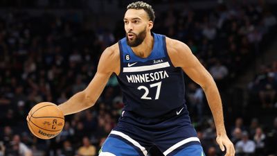 Rudy Gobert Appears to Take Swing at Kyle Anderson on Timberwolves Bench