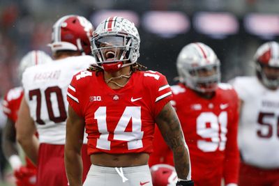 30 Browns prospects in 30 days: Ronnie Hickman, Safety, Ohio State