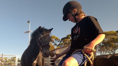 Parents turn to equine therapy for children with autism, ADHD as disability services wait times blow out
