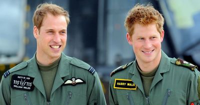 Resurfaced Prince Harry and Prince William interview shows pair's 'worrying' banter