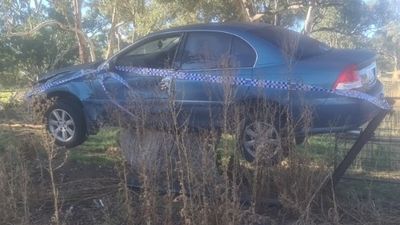 Teen escapes injury after losing control of car and landing on tree stump
