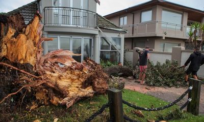 ‘A scary scene’: Auckland, still recovering from deadly flooding, hit by tornado
