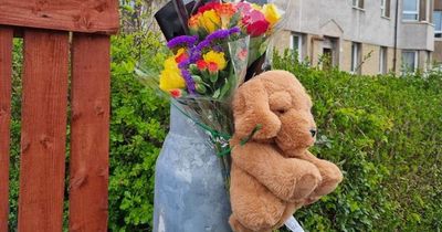 Boy, 5, killed in Glasgow bus crash tragedy named by police