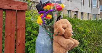 Glasgow five-year-old killed in bus crash horror named as police appeal for witnesses