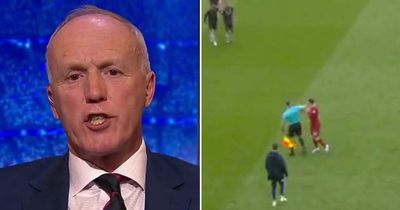 Peter Walton blames Andy Robertson for starting confrontation with assistant referee