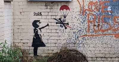 Artist called 'Banksy Hates Me' targets one of Bristol's most famous Banksy works