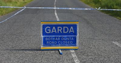 Pedestrian seriously injured after being hit by car in Waterford as gardaí close road